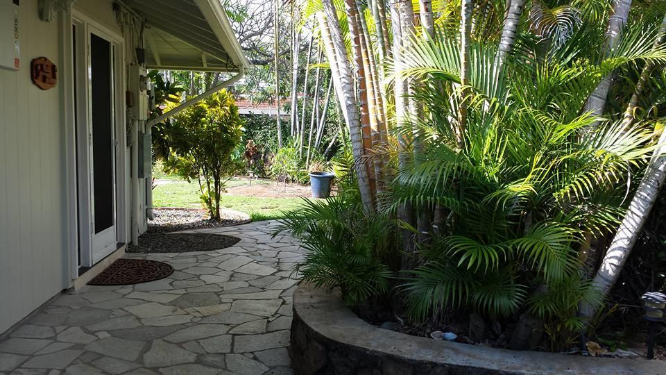 Paradise Palms B & B Kailua Exterior foto